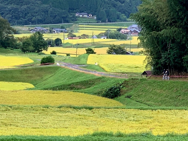 田園風景