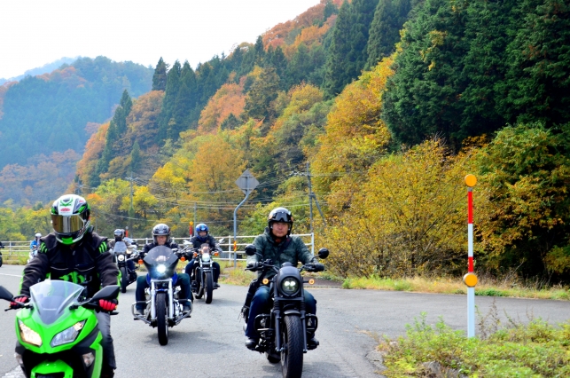 【催行決定】第17回　千屋牛目指して秋色のやまなみ街道を駆け抜けろ！