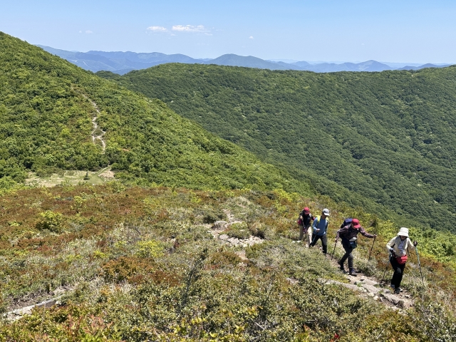 【催行決定】ネパール人ガイド ライくんと行く秋の比婆山トレッキング